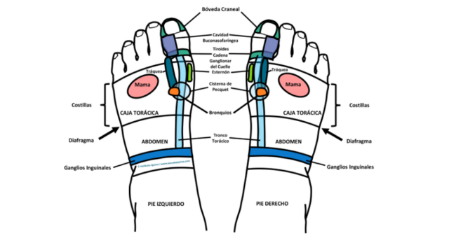 reflejoterapia-podal-curso-online